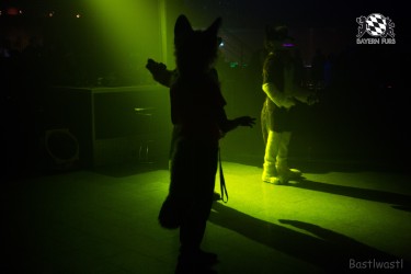 BFD6 0360 von Bastlwastl