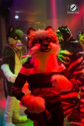 BFD6 0472 von Bastlwastl