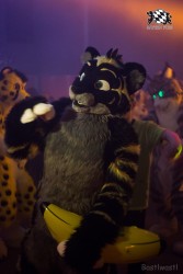 BFD6 0476 von Bastlwastl