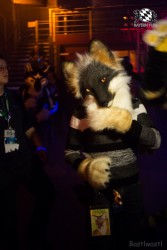 BFD6 0480 von Bastlwastl