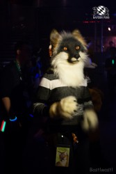 BFD6 0481 von Bastlwastl