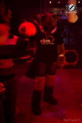 BFD6 0485 von Bastlwastl