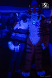 BFD6 0486 von Bastlwastl