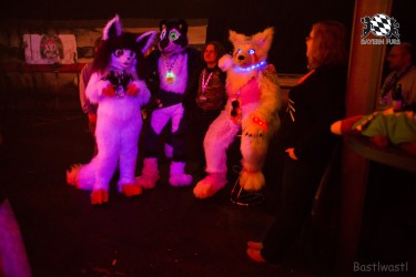 BFD6 0550 von Bastlwastl