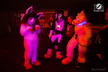 BFD6 0552 von Bastlwastl