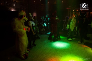 BFD6 0560 von Bastlwastl