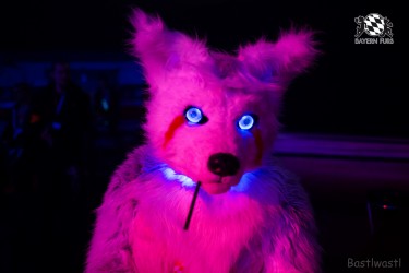 BFD6 0566 von Bastlwastl