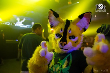 BFD6 0597 von Bastlwastl