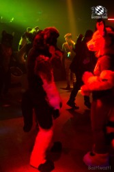 BFD6 0613 von Bastlwastl