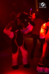 BFD6 0616 von Bastlwastl