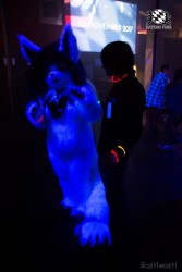 BFD6 0684 von Bastlwastl