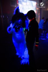 BFD6 0685 von Bastlwastl