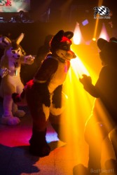 BFD6 0727 von Bastlwastl