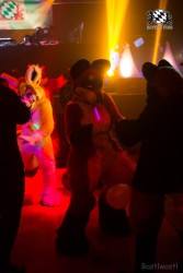 BFD6 0729 von Bastlwastl