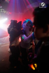 BFD2 0167 von Miu Luna