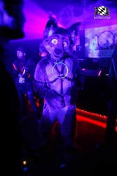 BFD2 0242 von Miu Luna