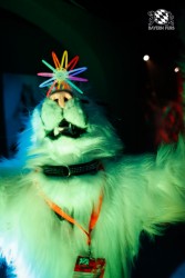 BFD2 0279 von Miu Luna