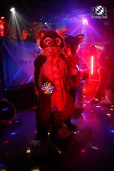 BFD2 0293 von Miu Luna