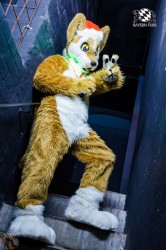 BFD2 0627 von Lee Taiger