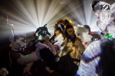 BFD2 0633 von Lee Taiger