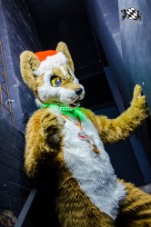 BFD2 0635 von Lee Taiger