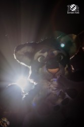 BFD2 0645 von Lee Taiger