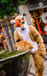 BFD1 0343 von Lee Taiger