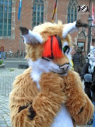 BFD1 0412 von Rolf der Wolf