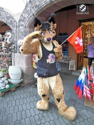 BFD1 0418 von Rolf der Wolf