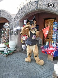 BFD1 0419 von Rolf der Wolf