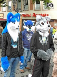 BFD1 0422 von Rolf der Wolf