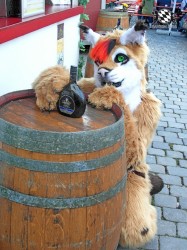 BFD1 0430 von Rolf der Wolf