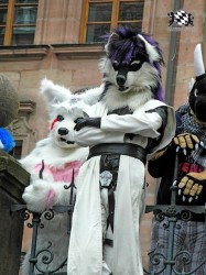 BFD1 0457 von Rolf der Wolf