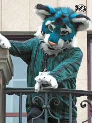 BFD1 0460 von Rolf der Wolf