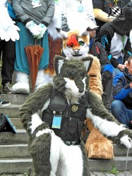 BFD1 0465 von Rolf der Wolf