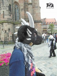 BFD1 0492 von Rolf der Wolf