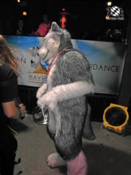 BFD1 0628 von Rolf der Wolf