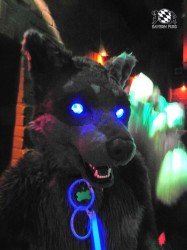 BFD1 0634 von Rolf der Wolf