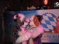 BFD1 0713 von Swip