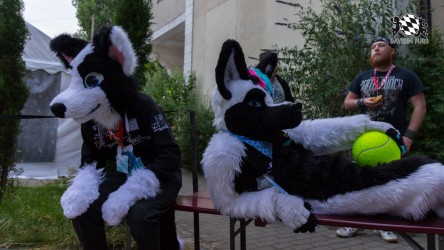 BFD7 0015 von Amee2k