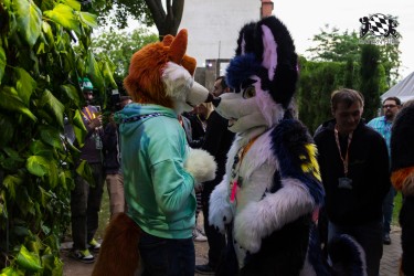 BFD7 0026 von Amee2k