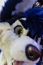 BFD7 0027 von Amee2k