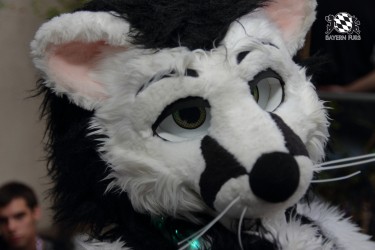 BFD9 0059 von Sidney Kenson