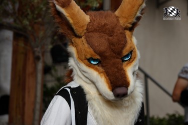 BFD9 0061 von Sidney Kenson