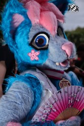 BFD9 0068 von Sidney Kenson