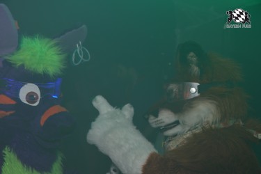 BFD9 0092 von Sidney Kenson