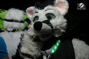 BFD9 0185 von Sidney Kenson