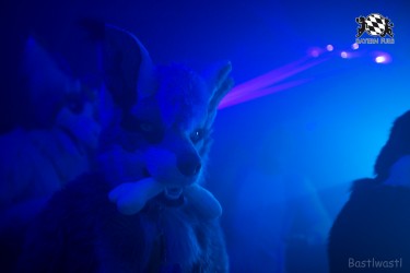 BFD9 0413 von Bastlwastl