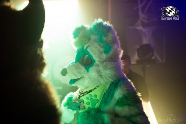 BFD9 0433 von Bastlwastl