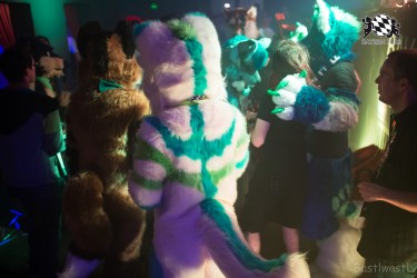 BFD9 0435 von Bastlwastl